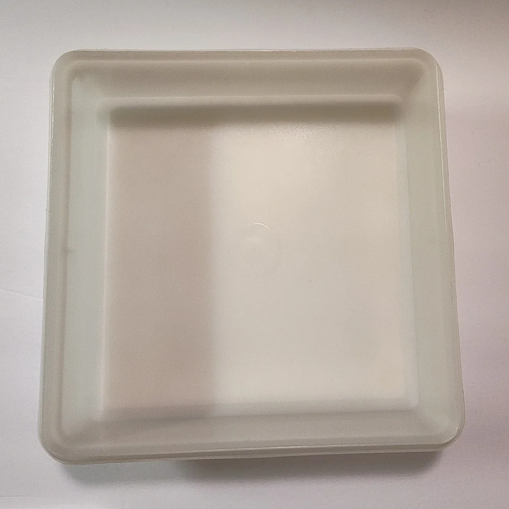 Vintage Tupperware Square Container